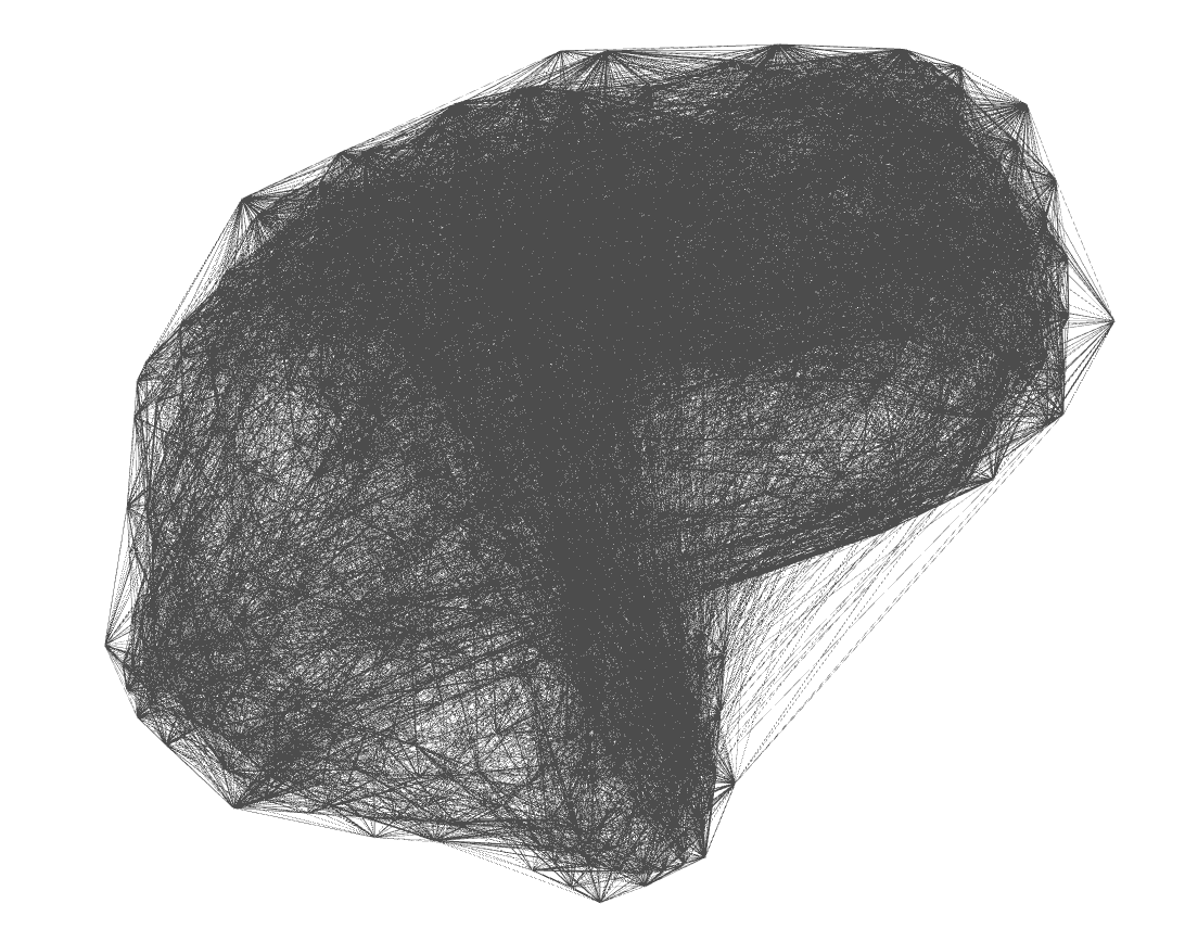 Freeform brain network looks like the physical brain